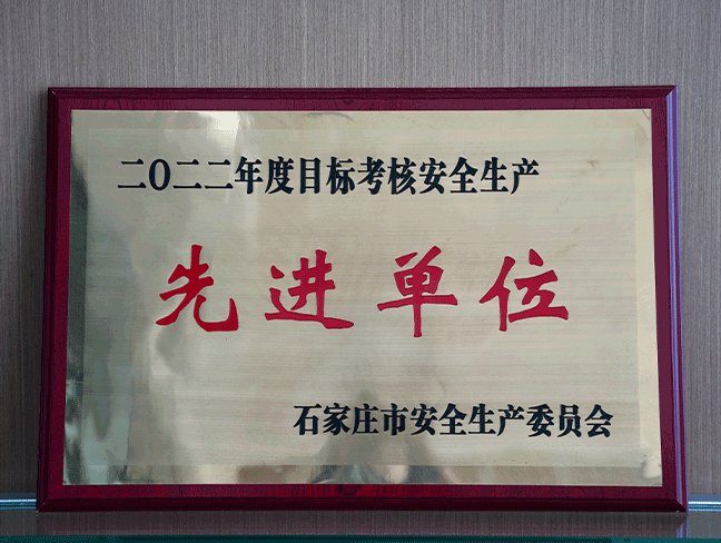 2022年度目的审核清静生产先进单位-市清静生产委员会.png